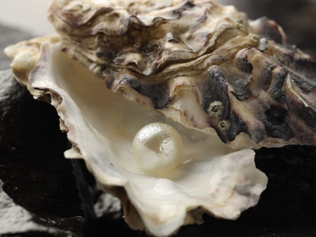 How a Broome Pearl Farm Sustains an Ancient Industry